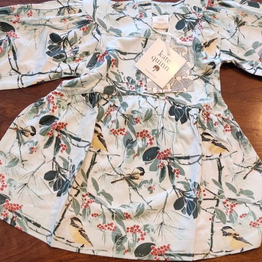 Kate Quinn gathered shoulder dress (3-6 months)